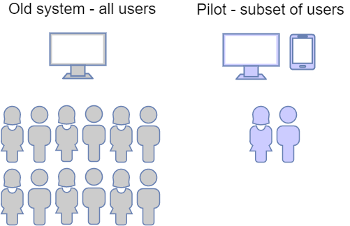 Pilot / Minimum Viable Product